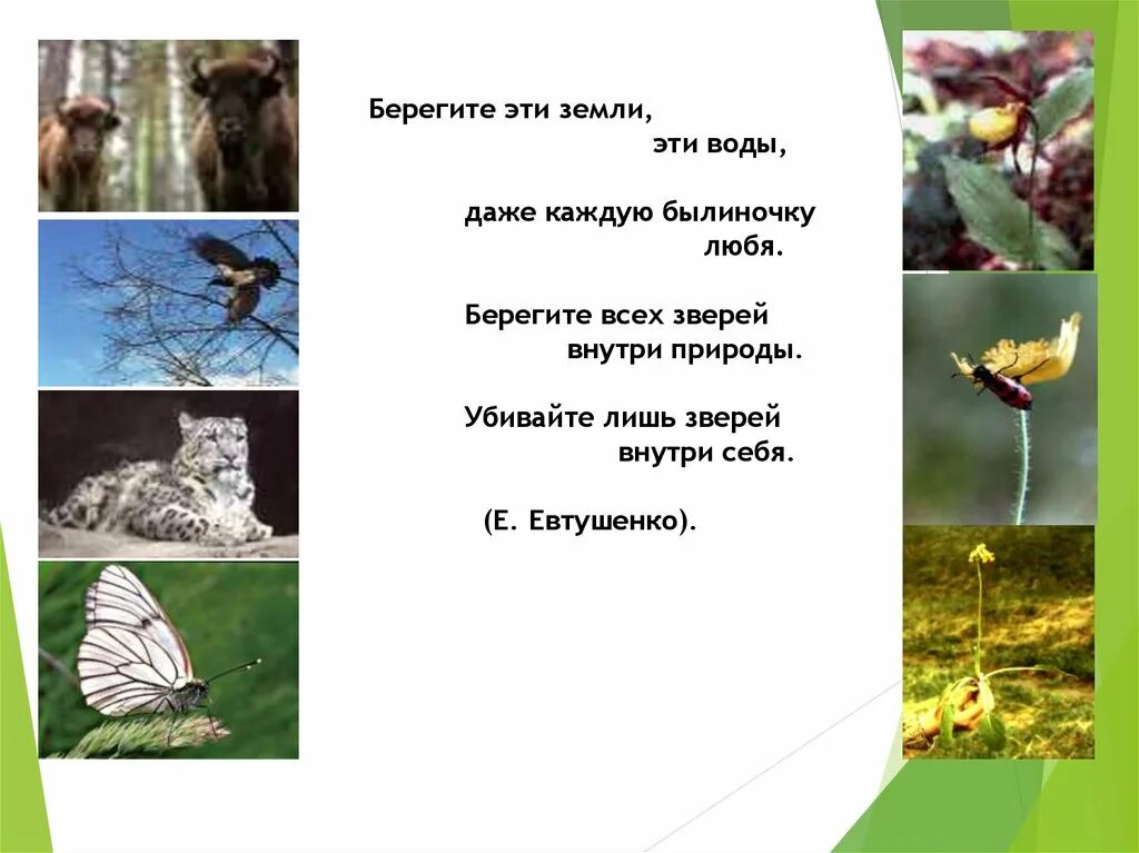 Берегите эту красоту. Берегите эту землю.