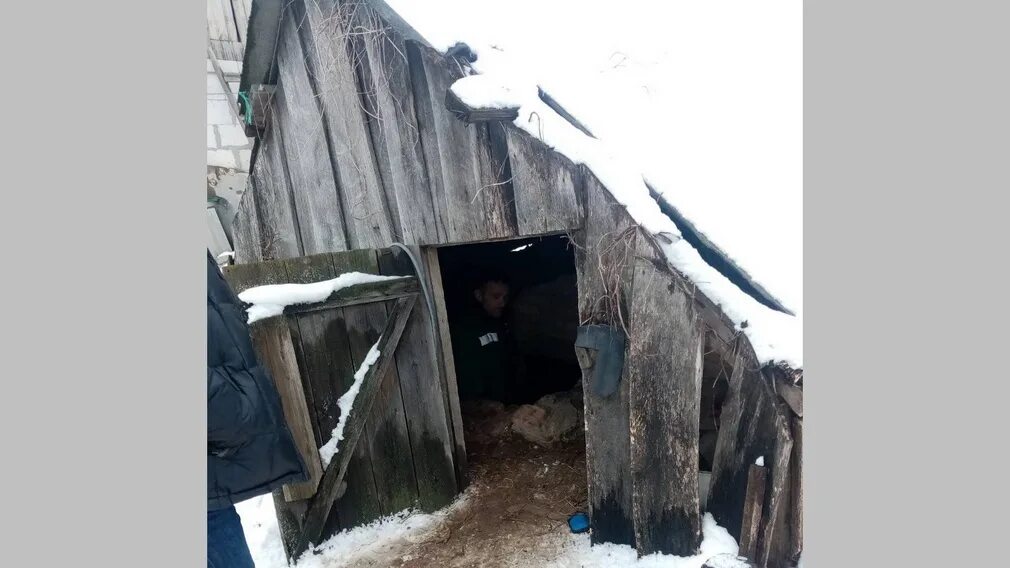 Погода в погребах брянской. Деревня локоть брянская область. Деревня погребы брянская область. Станция погребы брянская область. Погреб на железной дороге.