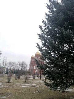 Прогноз пугачеве