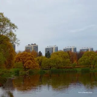 Погода в южно приморском