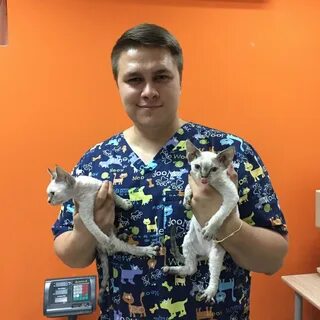 Ветеринар краснодар
