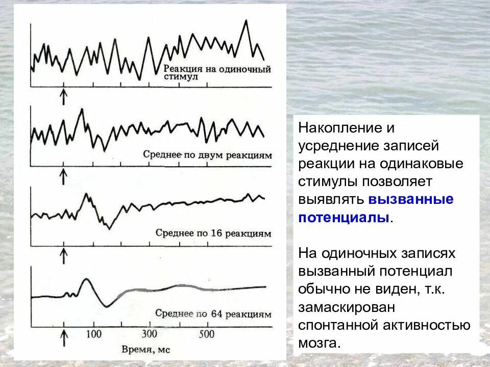 Потенциал ээг. Метод вызванных потенциалов физиология. Когнитивные вызванные потенциалы ЭЭГ. Метод вызванных потенциалов это ЭЭГ?. Вызванные потенциалы и потенциалы, связанные с событиями.