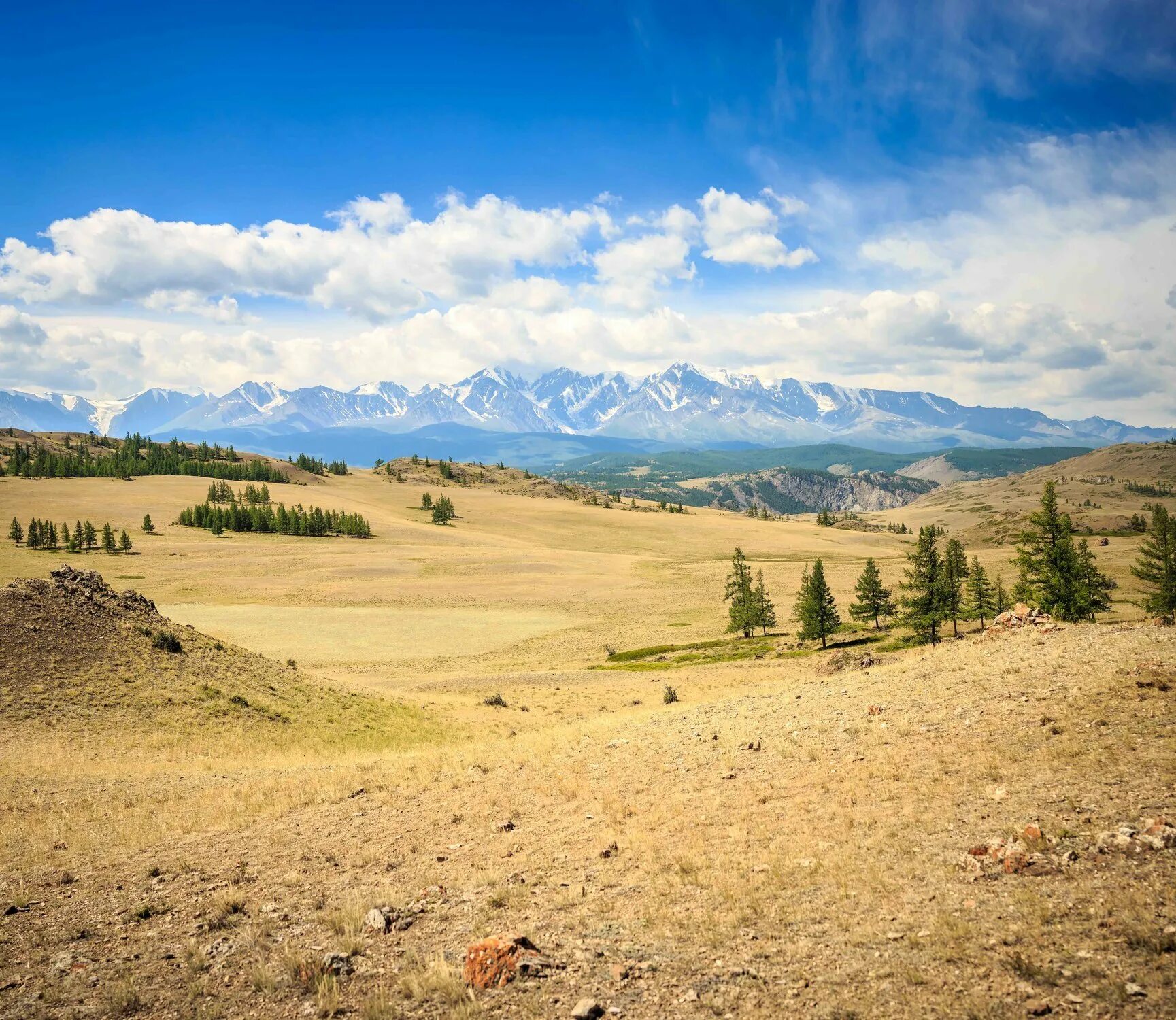чуйский тракт курайская степь. курайская степь. курайская степь алтай. кош агач курайская степь. курайская долина горный алтай.
