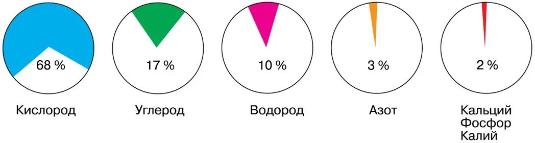 Азот углерод кислород в воде