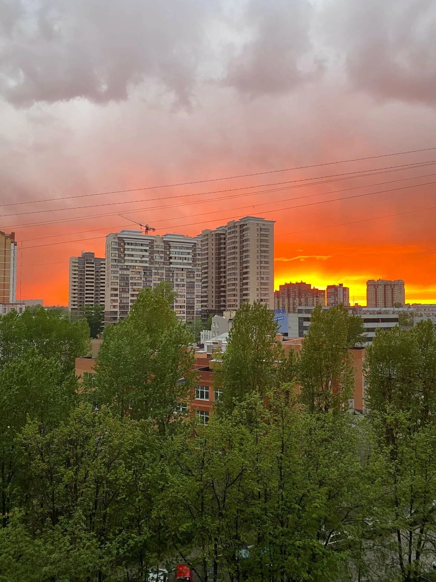 Город Балашиха. Балашиха центр города. Вика Балашиха. Город Балашиха Подмосковье. Балашиха это москва или область