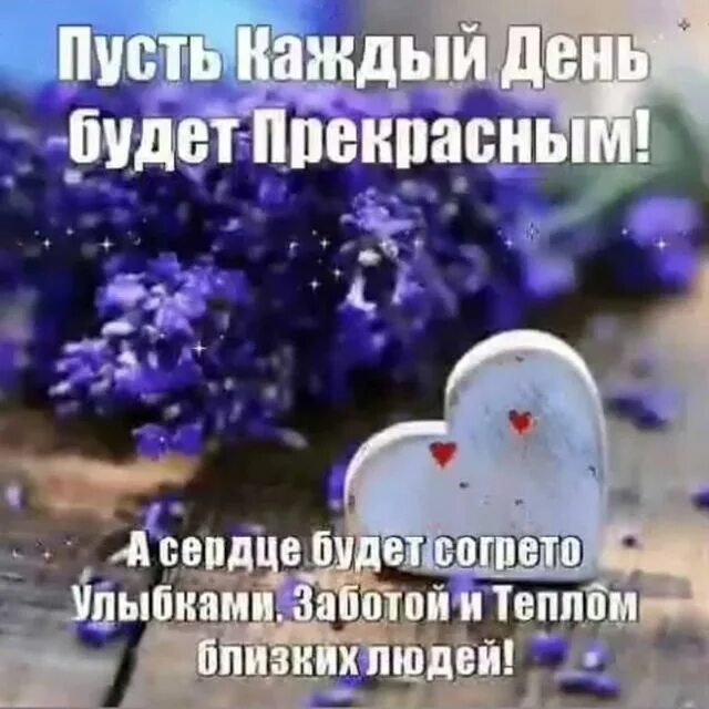 Пусть жизнь наполнится. Пусть твой день будет радостным и ярким. Букет роз в чашке. Пусть каждый день наполняется радостью. Пусть ваш день наполнится.