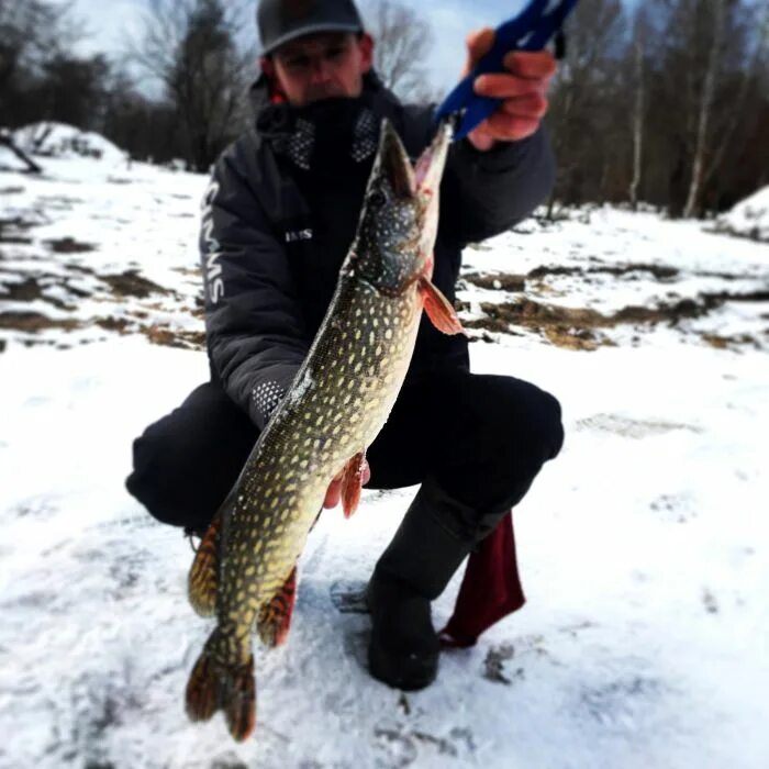 Клев. Рыбалка в плохую погоду. Клев щуки зимой. Улов щуки зимой. Весенняя щука на спиннинг.