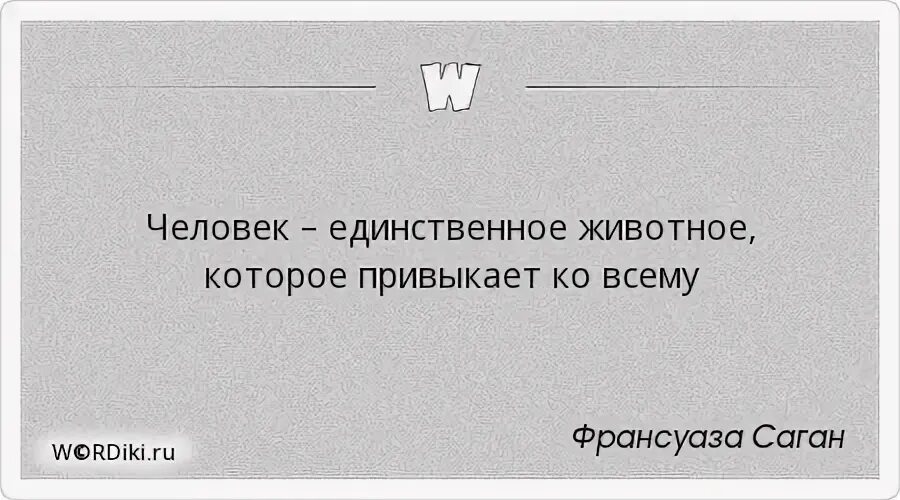Человек единственное животное