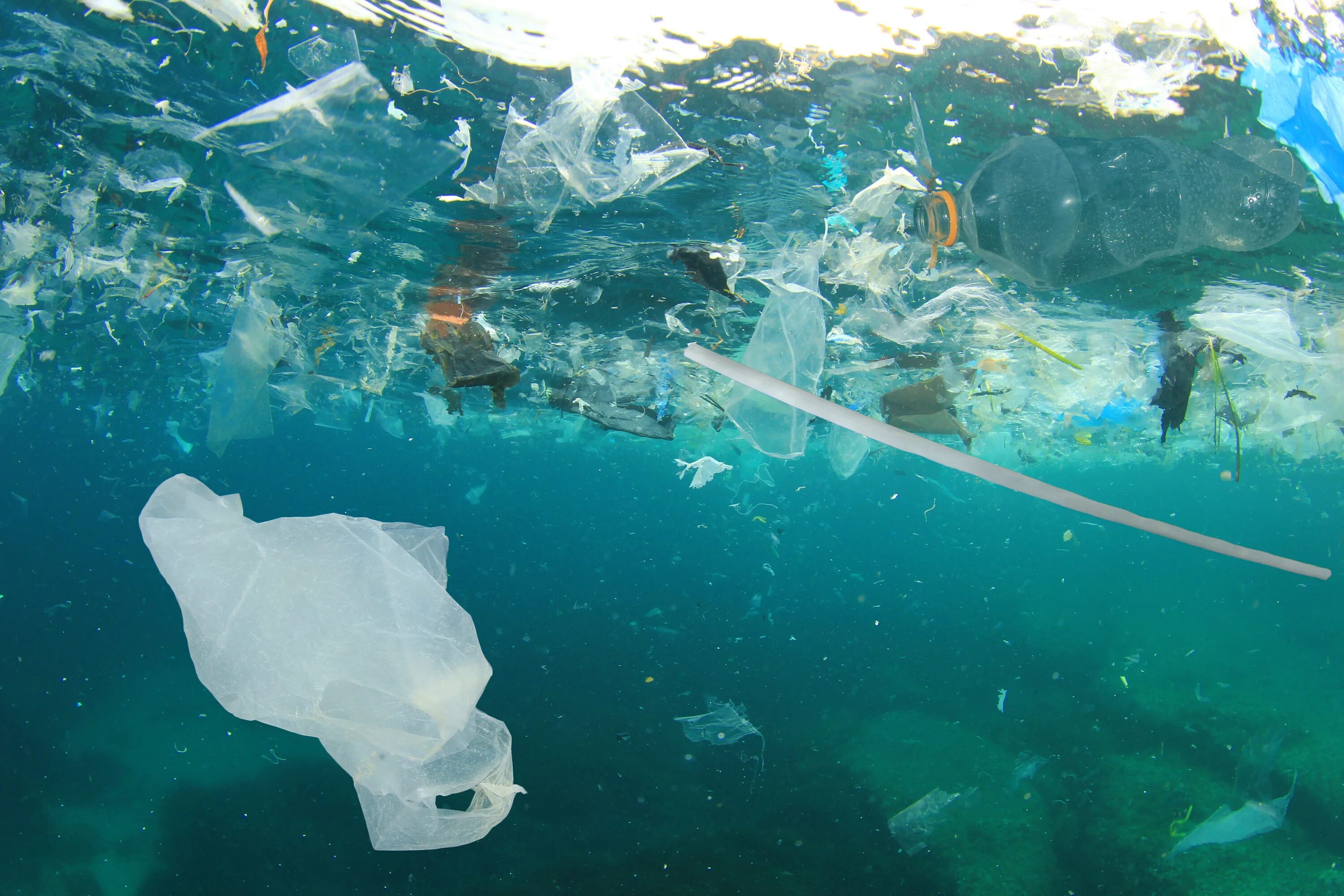 Пластиковый океан 2016. Пластик в океане. Пластиковые пакеты в океане. Пакет с водой.