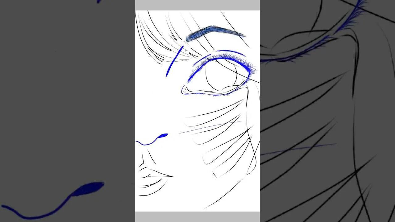 Как пользоваться ибис паинт. Ibispaint x туториал. рисунки лица для ибис паинт. туториалы по рисованию в ibispaint x. туториал по рисованию в ibispaint x.