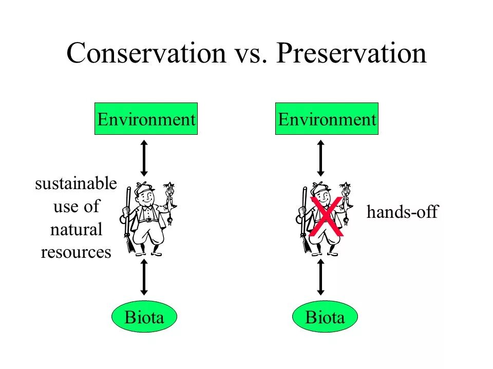 The conservation is about. Preservation and conservation. conservation перевод. conserve preserve разница. example of conservation.