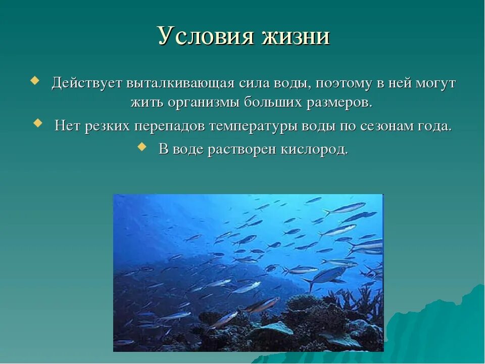 Жизнь в океане и на суше. Планктон Нектон бентос Нейстон. Планктон Нектон бентос биология. Условия жизни в океане. Условия в морях и океанах.