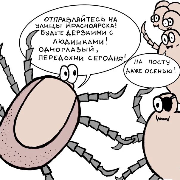 Клещи укусили двух жителей Красноярского края - Происшествия : REDOMM.RU