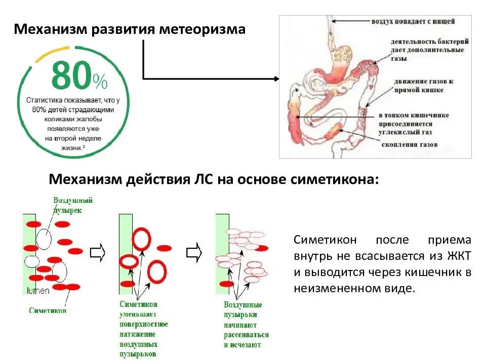 Сильное газообразование что делать