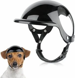 Pet sport