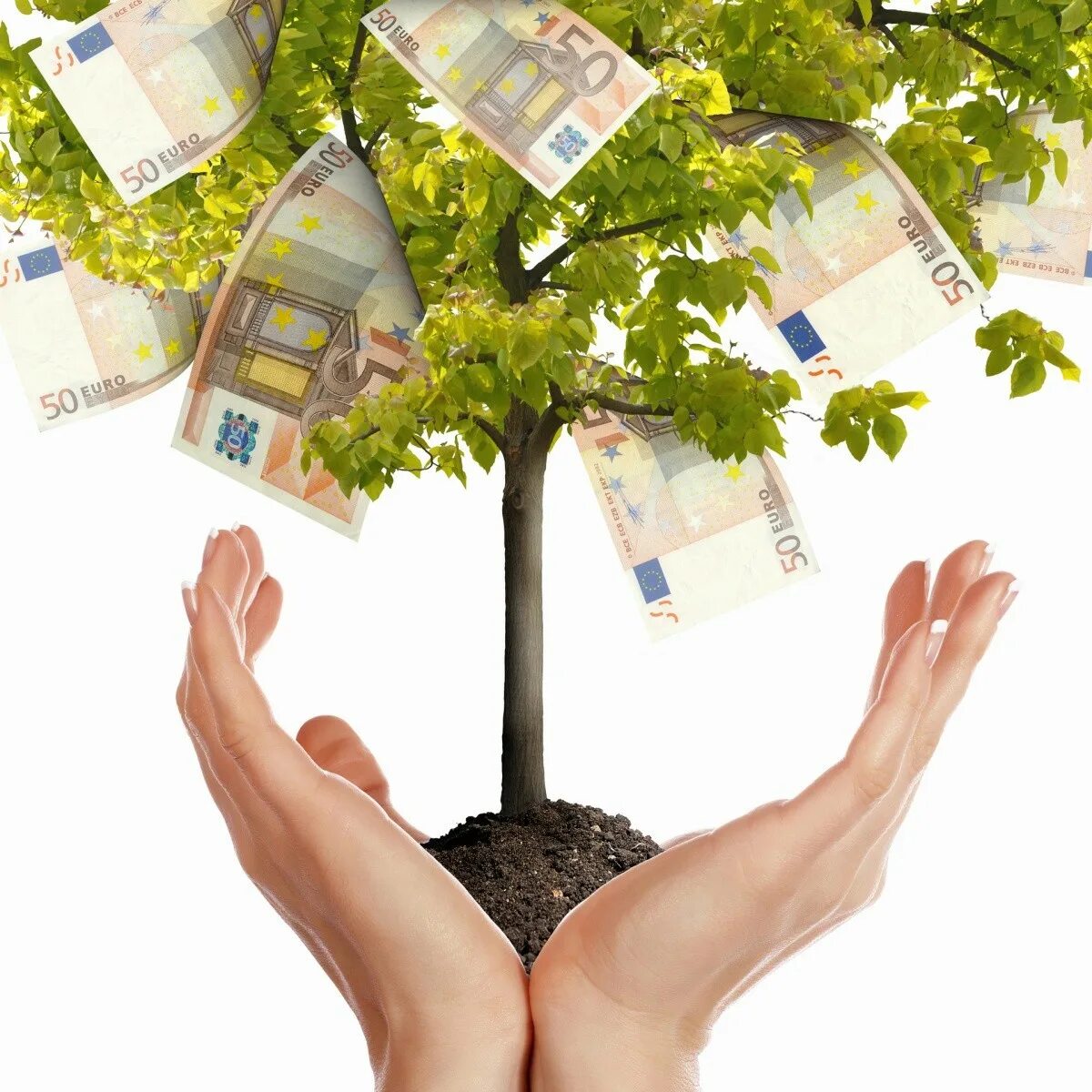 Финансовые спонсоры. Дерево с деньгами. Руки деньги дерево. Материальное благополучие. Визуализация денег.