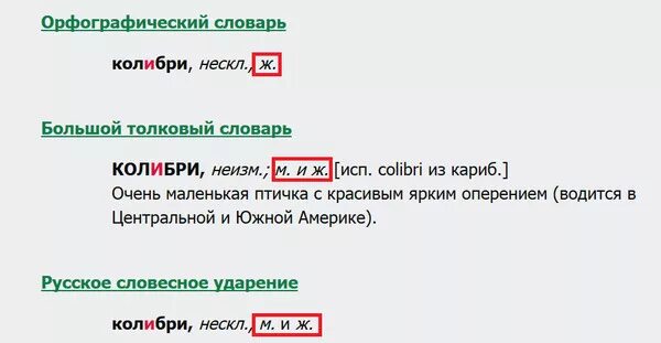 Колибри род существительного. Род слова Колибри. Какого рода слово Колибри. Колибри какой род существительного.