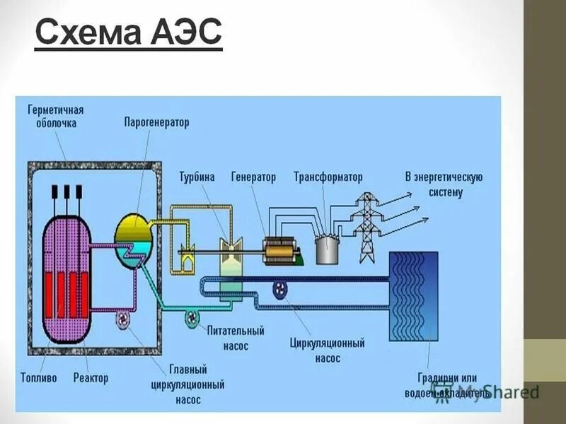 Высота аэс. Атомная электростанция реактор схема. Принципиальная схема атомной электростанции. Схема атомной энергетической установки. Устройство термоядерного реактора схема.