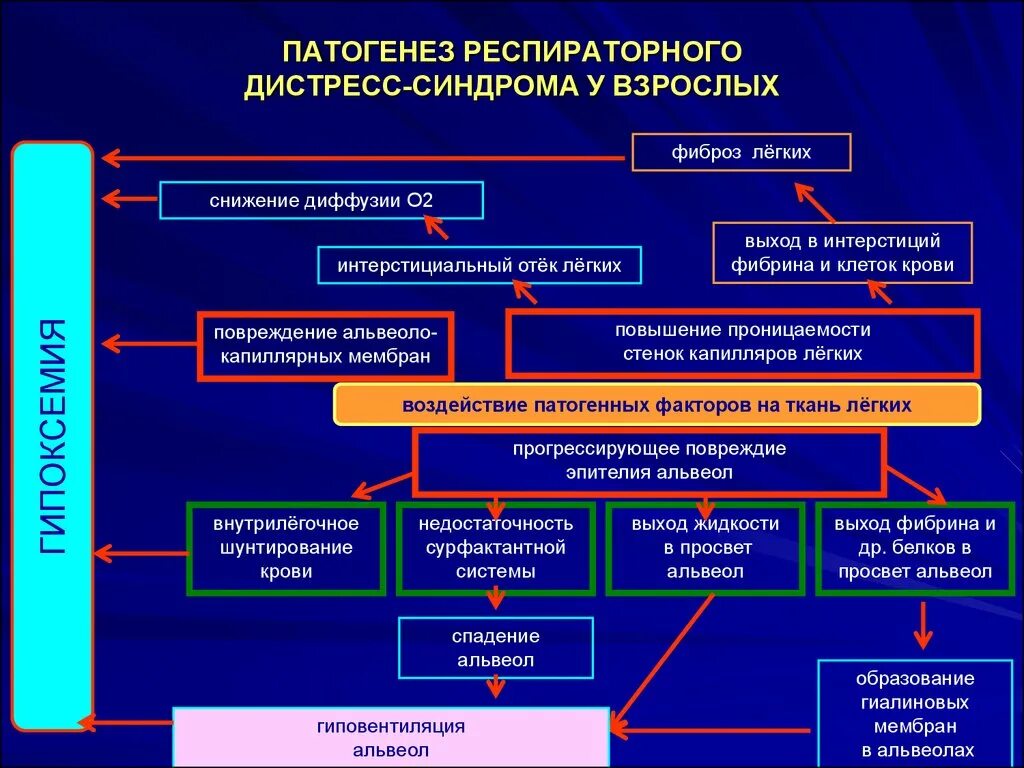 Острый респираторный дистресс-синдром патогенез. Респираторный дистресс-синдром взрослых патогенез. Респираторный дистресс синдром патофизиология. Патогенез РДС У взрослых.