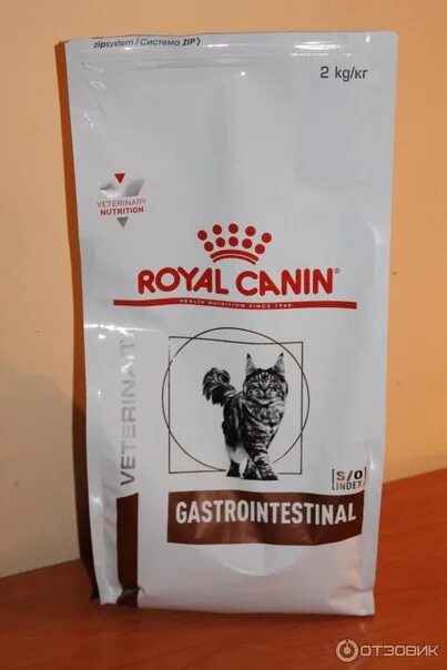 Royal canin gastrointestinal для кошек сухой. Роял Канин гастро Интестинал для кошек сухой 2 кг. Корм для кошек Роял Канин гастро. Корм гастроинтестинал Роял Канин для кошек. Роял Канин для котят сухой гастро 2 кг.