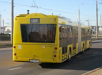 Автобус маз гармошка