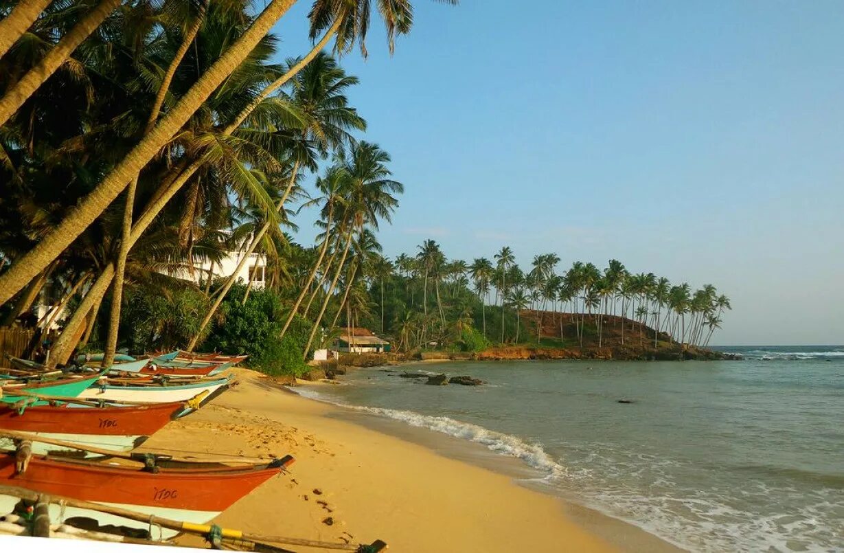 Республика шри ланка. Мирисса Шри Ланка. Пляж Мирисса Шри Ланка. Хиккадува Шри Ланка. Мирисса деревня Шри Ланка.