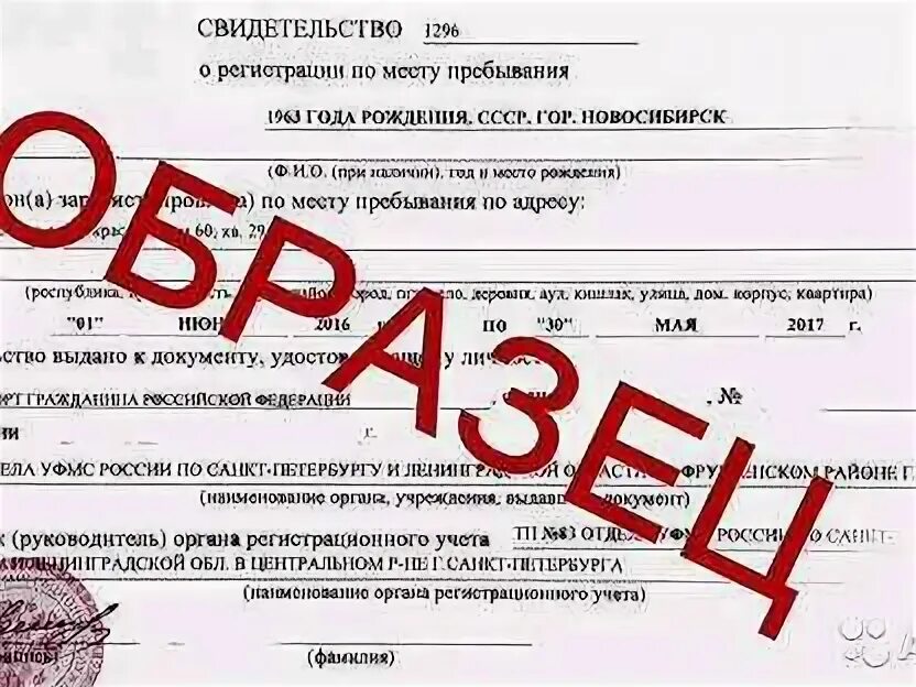 Как запросить прописку. Как запросить прописку