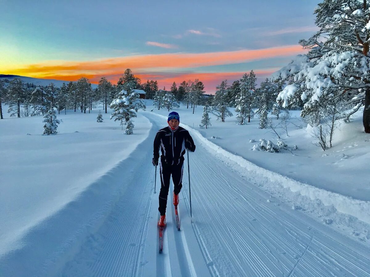 Лыжник. Лыжник в лесу. Зима лыжи. Профессиональный лыжник. Skiing cross country skis