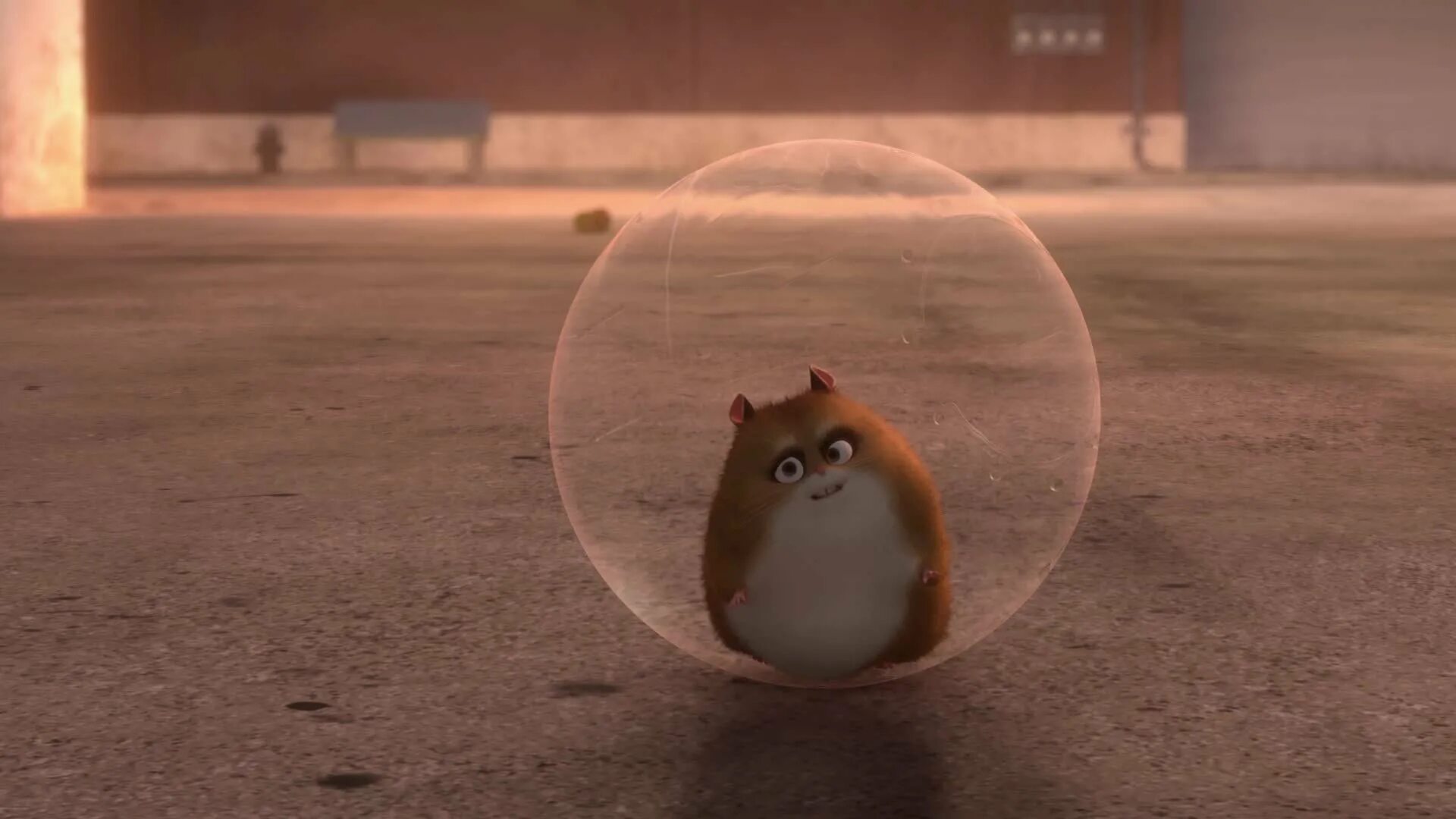 шифр хомяк 4 июля 2024