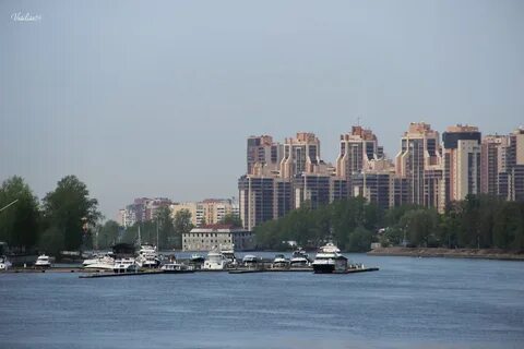 Квартиры золотая гавань