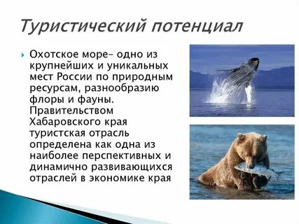Особенности охотского моря