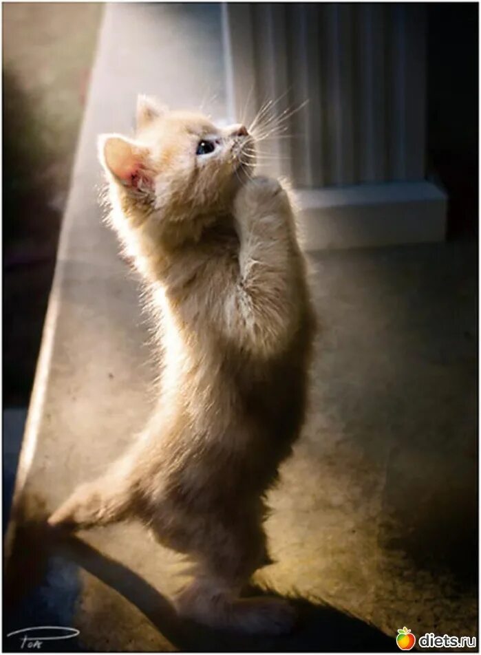 Ну пожалуйста картинки прикольные. Пожалуйста мем. Море в глазах. Сделай пожалуйста свет. Прости что люблю тебя.