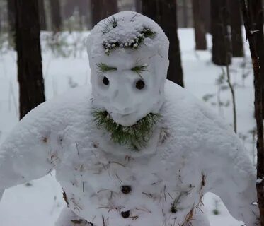 Жизнь снега