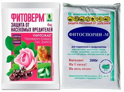 Препарат от болезней клубники