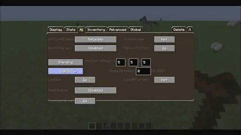Custom 1.7 10