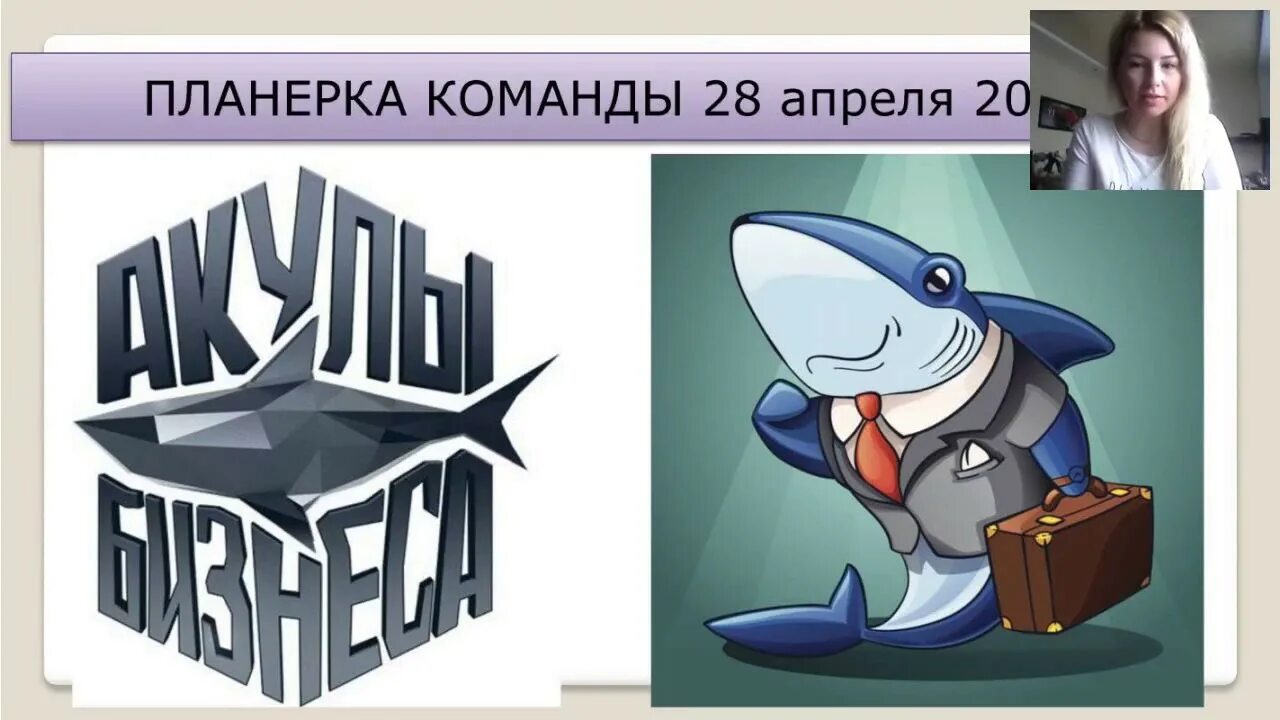 Раскрутка сайта team shark. Акула бизнеса. Акулы бизнеса картинки. Акула бизнеса женщина. Акула мотивация бизнес.