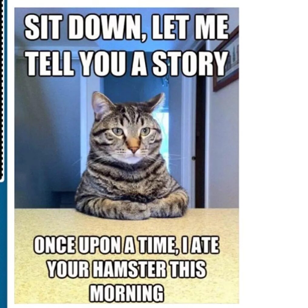 Сделай злую руку. Сделай злую руку. Белая рука на черном фоне. Котики. Сделай щлую руку мне напасть нало.