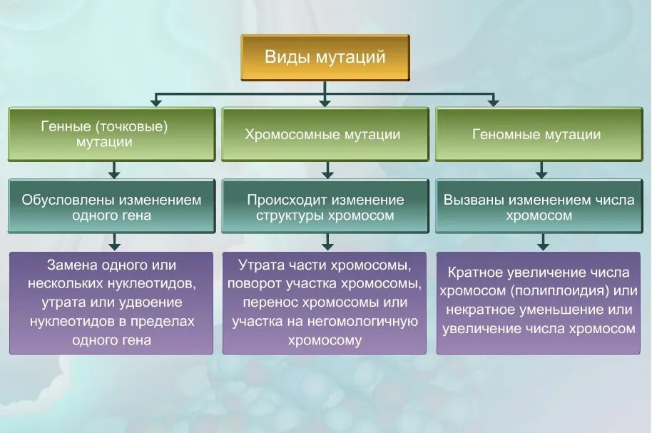 Причины изменения генов. Типы мутаций таблица ЕГЭ. Виды мутаций. Виды и типы мутаций. Типы мутаций и их причины таблица.