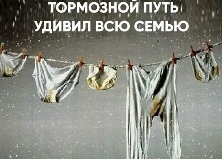 Все семь пришедших были приятно