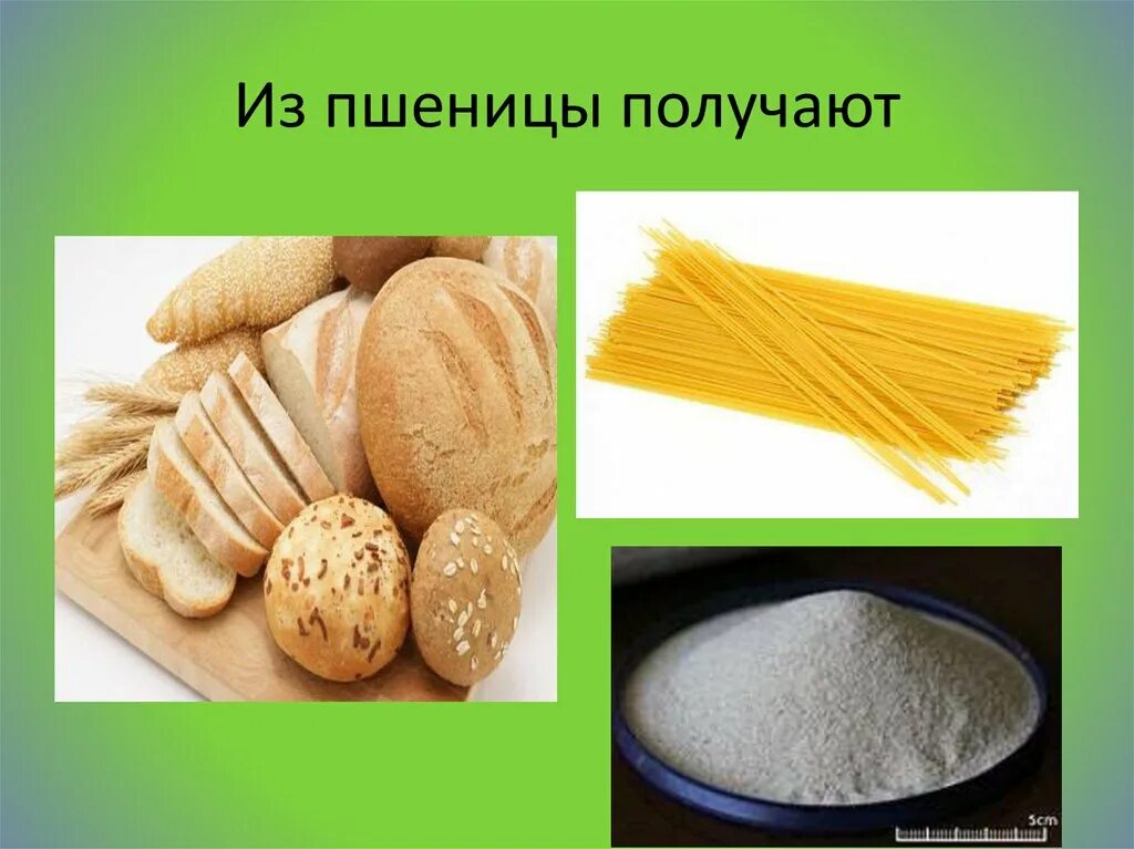 Из каких культур делают хлеб