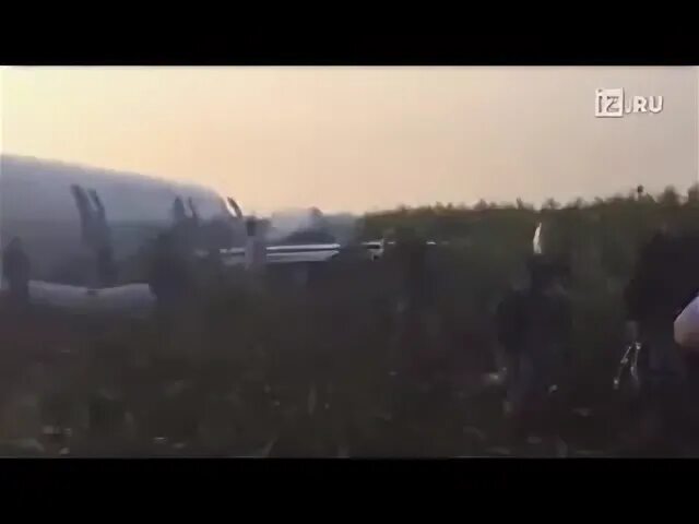 Самолет сел в пол