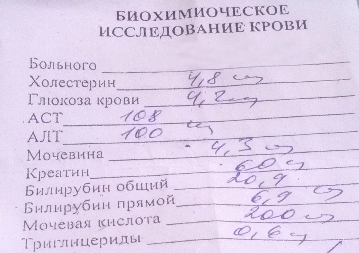 Сдать кровь на анализ печени. Направление на биохимическое исследование. Анализ крови. Направление на кровь. Направление на исследование крови на холестерин.