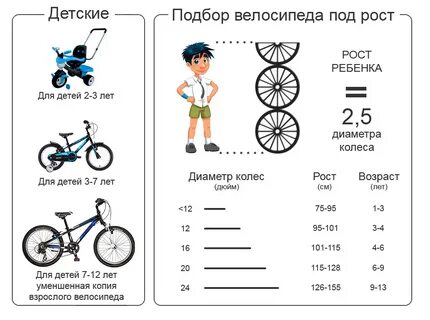 18 дюймов на какой рост