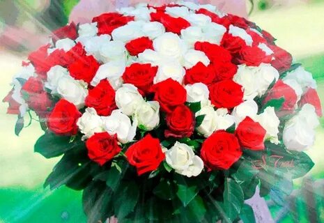 Мега анальды секс