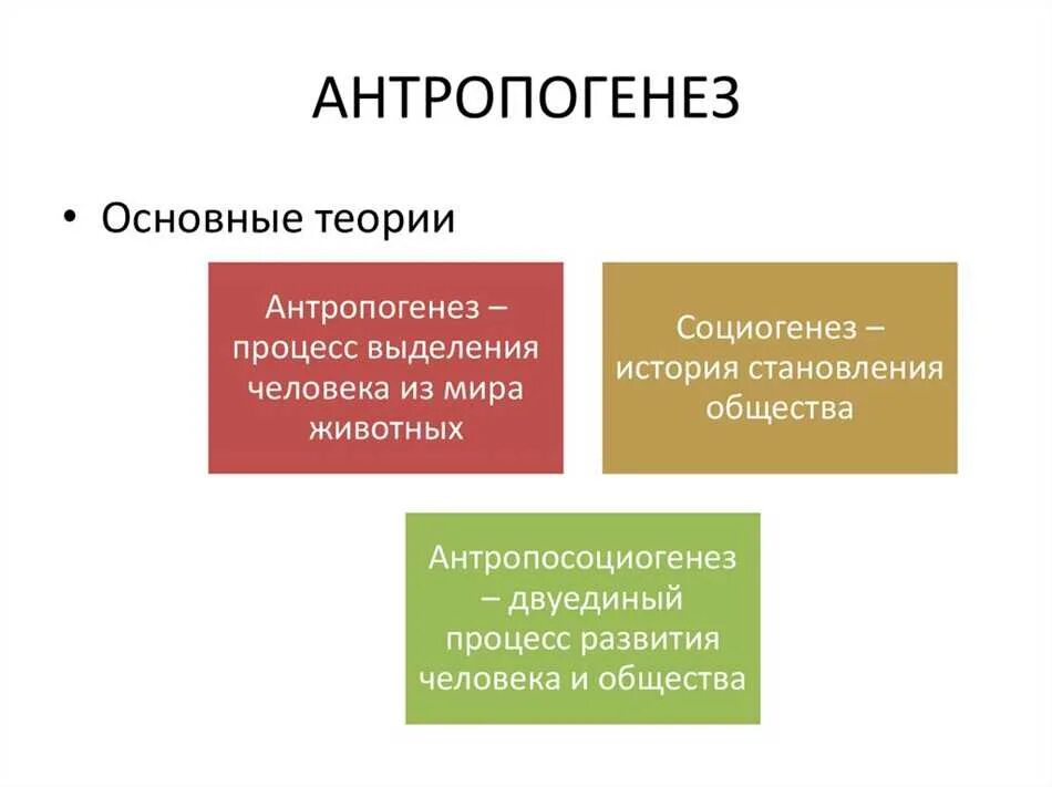 Как протекает антропогенез и социогенез. Основные теории антропогенеза. предпосылки антропогенеза. антропогенез социогенез антропосоциогенез. основные черты антропогенеза и социогенеза.