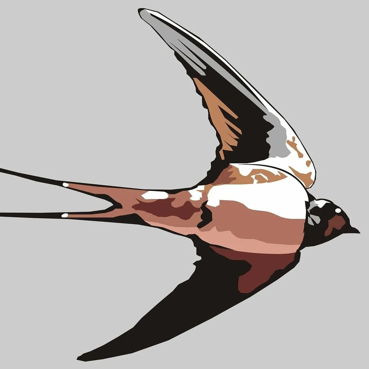 Изящную птицу ласточку называют. Ласточка. Ласточка рисунок. Ласточка птичка. Изображение ласточки.