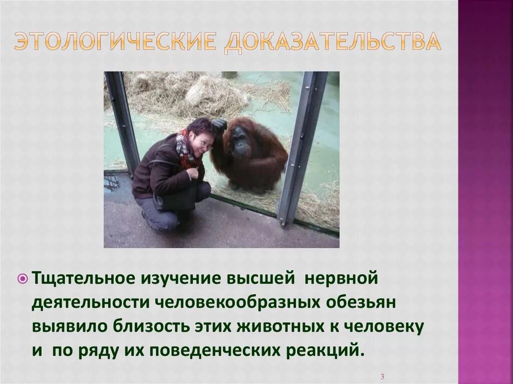 Этологические признаки это. Этологический критерий примеры. Примеры этологического критерия. Этологические признаки это. Этологический критерий примеры.