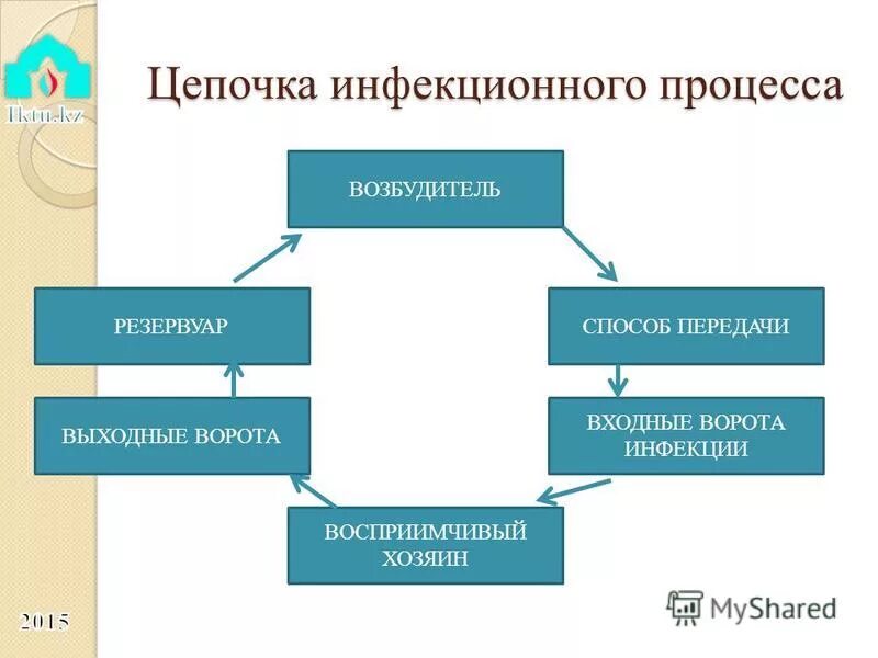 цепочка инфекционного процесса. структурно логическая схема группы риска вби. инфекционный процесс пути передачи инфекции. механизмы и пути передачи инфекции таблица. звенья эпидемиологического процесса исмп.