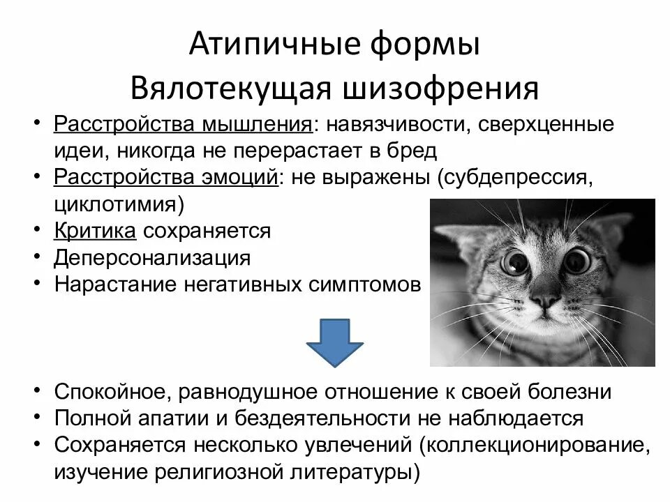 Шизофрения. Атипичная форма шизофрении. Виало текучия шизофрения. Вялотекущая шизофрения. Нарушения мышления при шизофрении