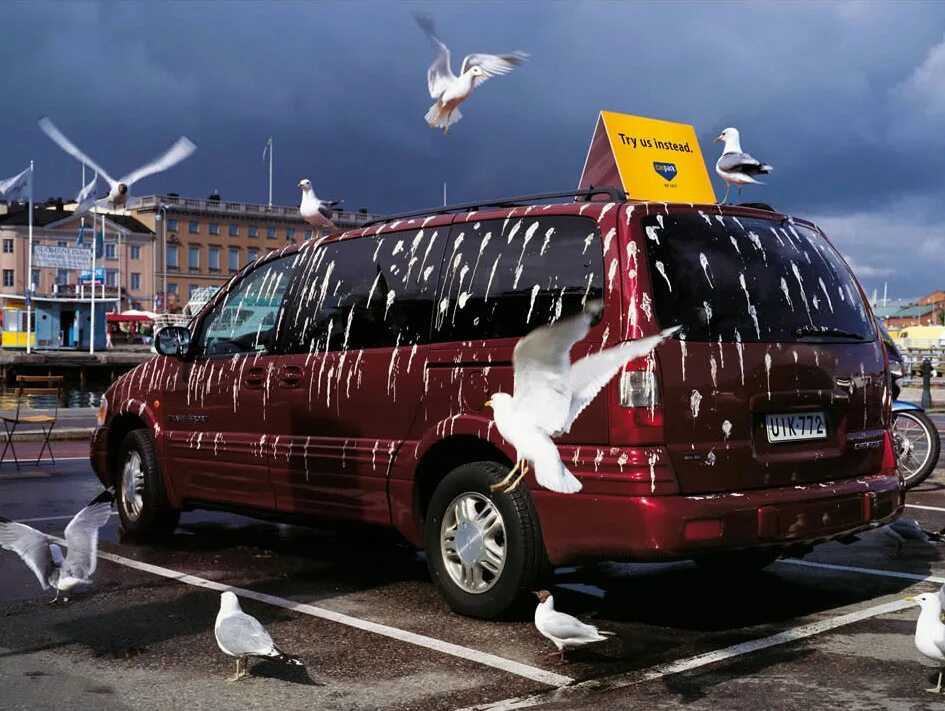 Машина bird. Автомобиль в птичьем помете. Птицы обгадили машину. Голуби обгадили машину. Птицы гадят на автомобиль.